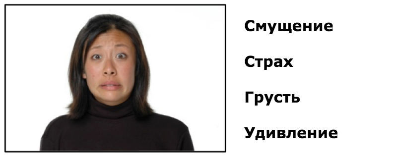 Как распознать эмоции человека по его лицу: Тест для сотрудников финансовых компаний - 13