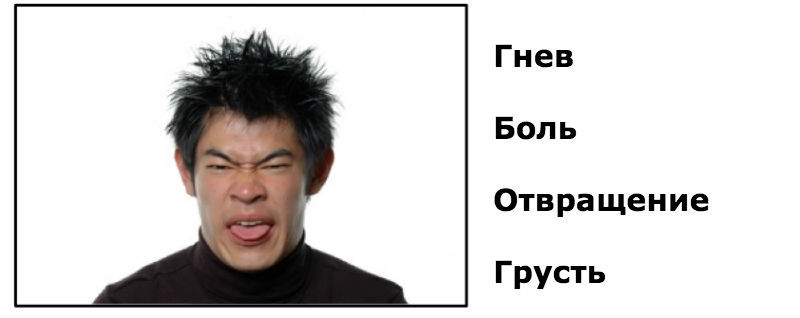 Как распознать эмоции человека по его лицу: Тест для сотрудников финансовых компаний - 3