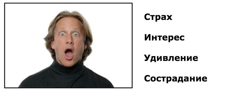 Как распознать эмоции человека по его лицу: Тест для сотрудников финансовых компаний - 8