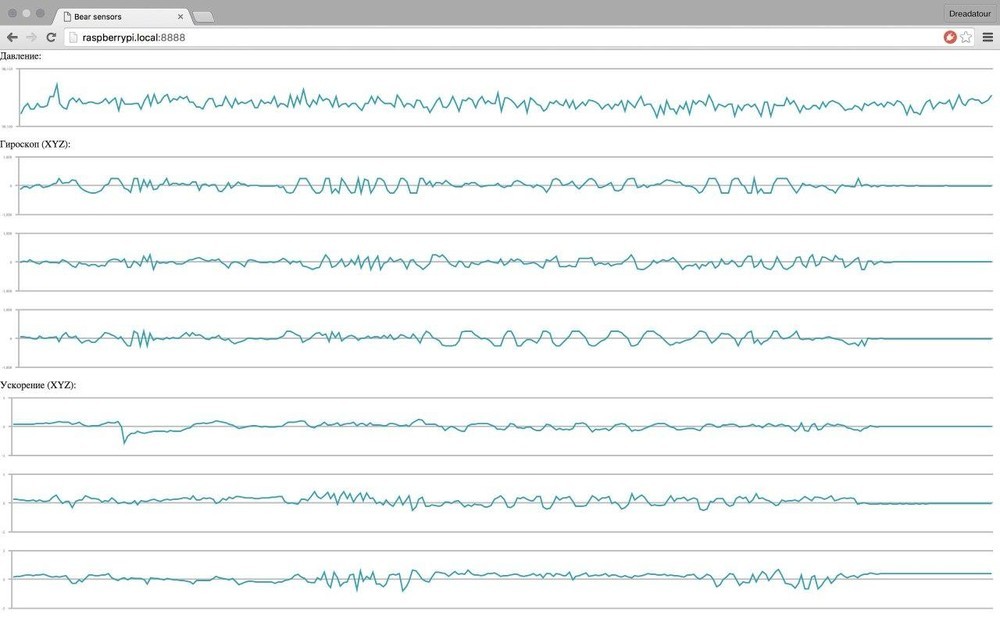 Медведь, расчлененка и 14 февраля - 4