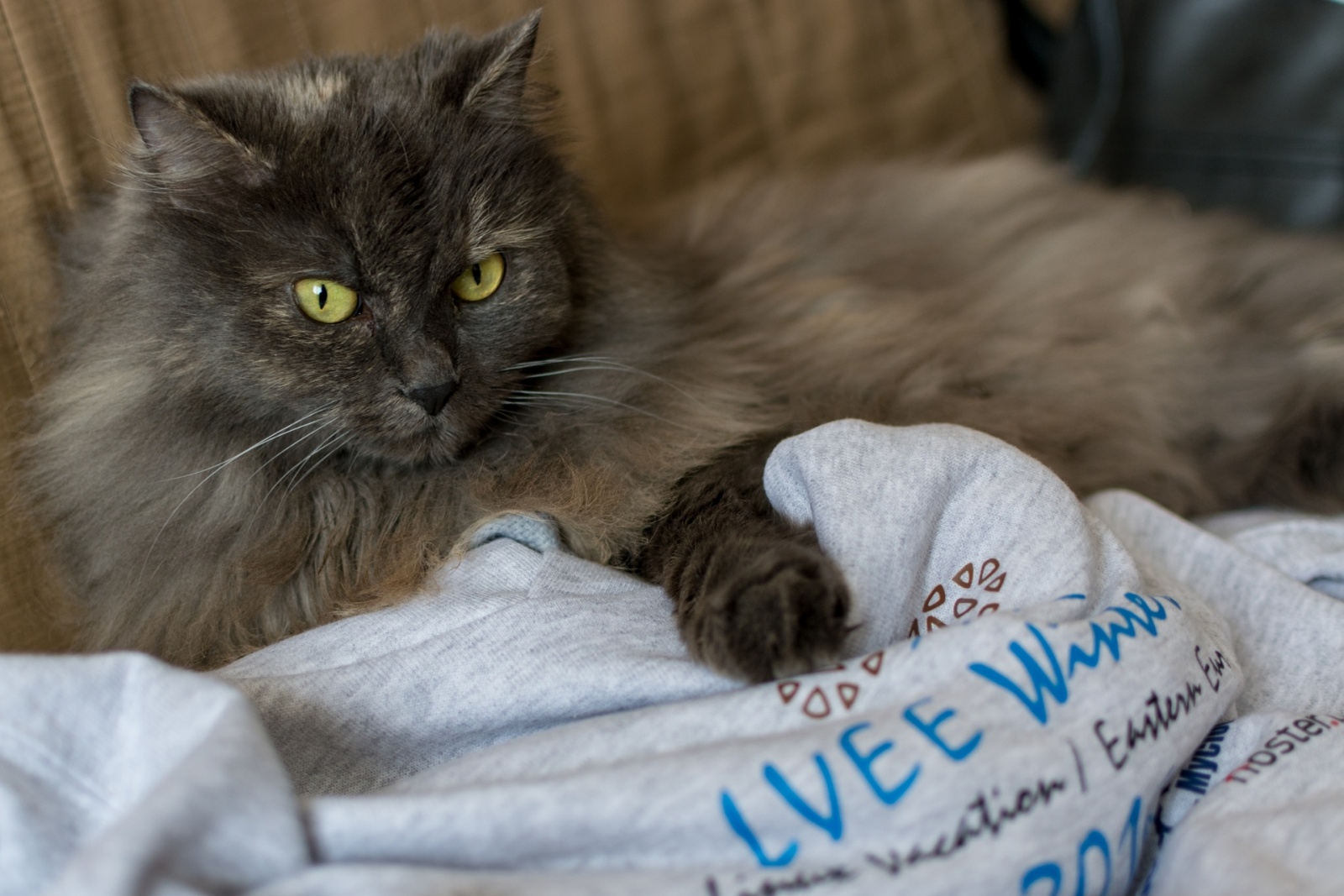 “Linux Vacation - Eastern Europe Winter 2016 - 8 “Linux Vacation - Eastern Europe Winter 2016 - 8