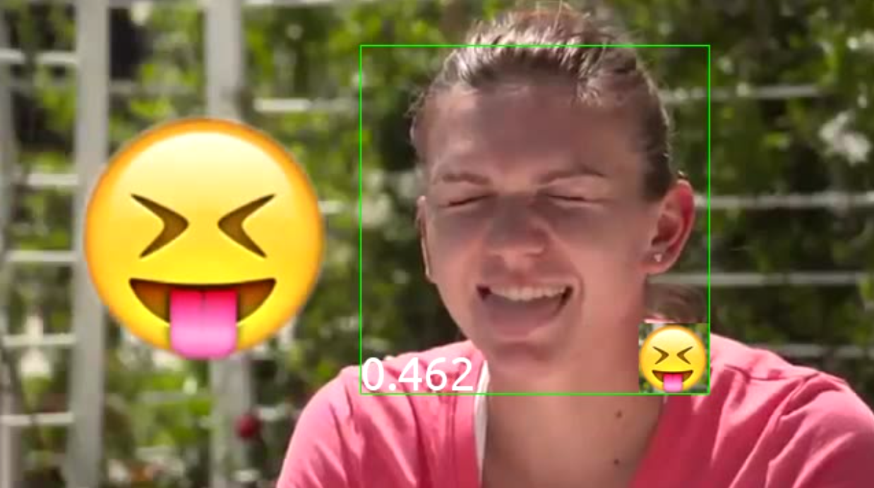 Глубокое обучение в гараже — Возвращение смайлов - 1 Пример работы системы