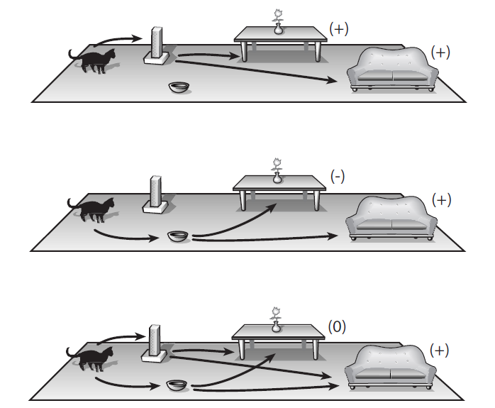 Книга «Вечность. В поисках окончательной теории времени» - 3 image