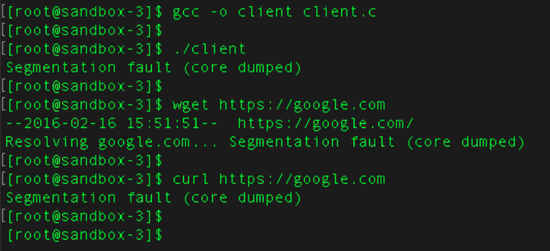 Curl wget. Выполнение кода. Уязвимость исходного кода. Segmentation Fault Core Dumped. Glibc.