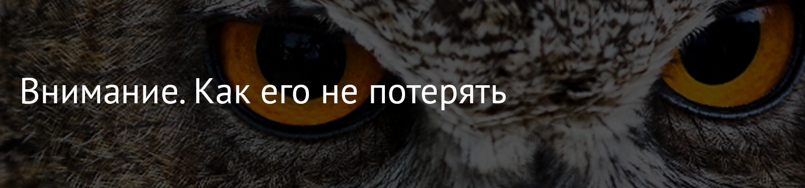 Гайд по личной эффективности от СЕО Changellenge >>: 5 принципов и 35 техник, собранных из всех источников в мире - 3 image