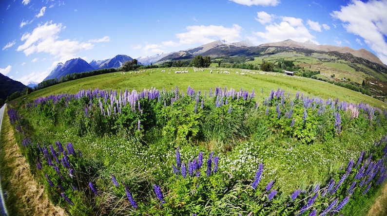 Экшн-камера WG-M2 - 4 Экшн-камера WG-M2 - 4