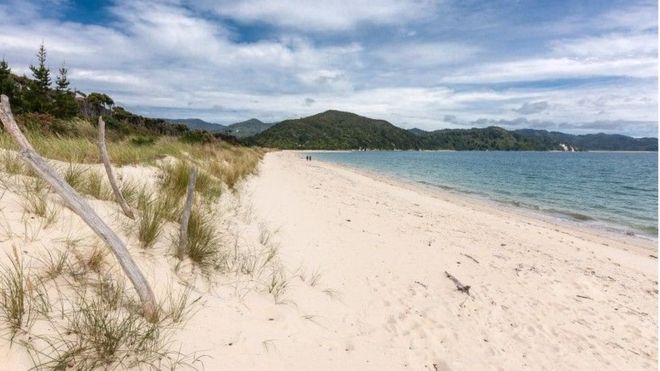 Краудфандинг позволил жителям Новой Зеландии выкупить пляж у бизнесмена, сделав его общественным - 1