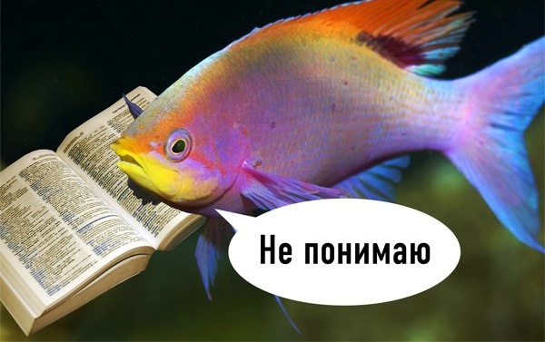 Как измерить доход от каждого рубля, вложенного в контент - 1 image