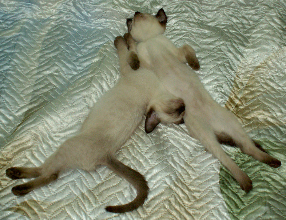 Обзор игровой механической клавиатуры Gamdias Hermes Ultimate с лайфхаками - 19 Обзор игровой механической клавиатуры Gamdias Hermes Ultimate с лайфхаками - 19