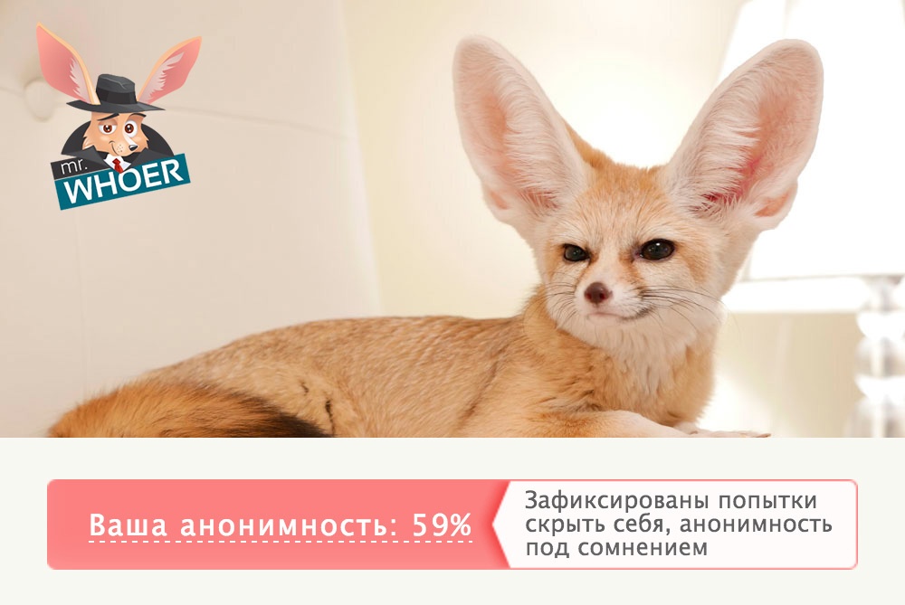 История одного проекта. Рейтинг и Анонимайзер - 1 image