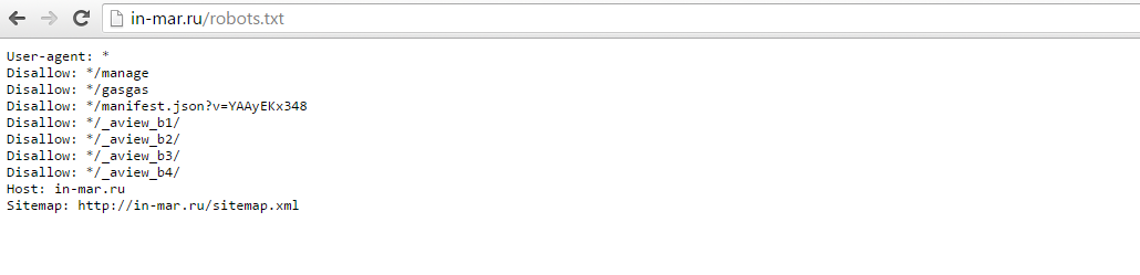 Robots.txt для поискового продвижения сайта в Екатеринбурге