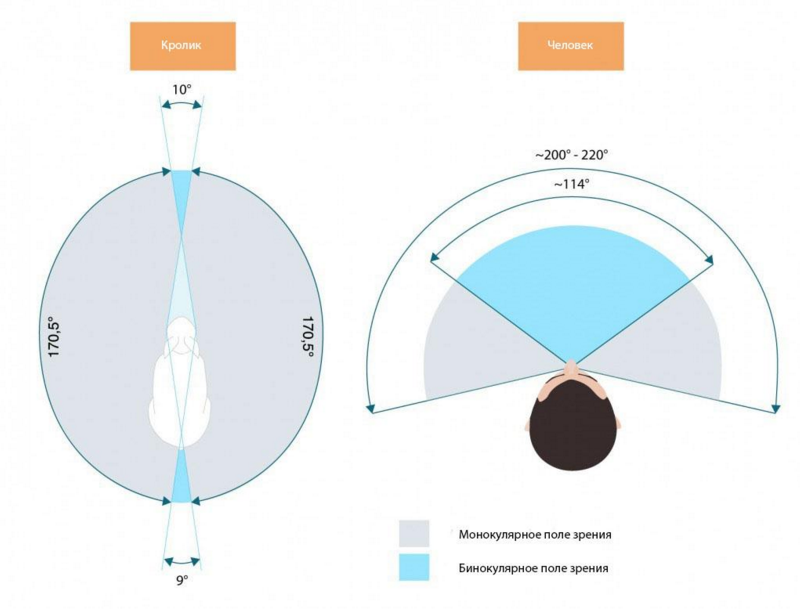 Поле зрения в очках виртуальной реальности - 2