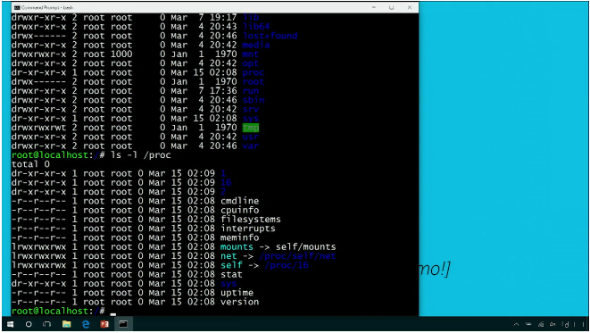 Microsoft подтвердила слухи об интеграции подсистемы Linux в Windows 10 - 6
