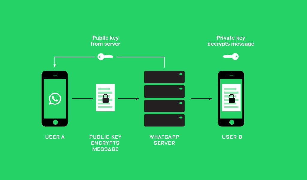WhatsApp ввел полное end-to-end шифрование всех данных для миллиарда своих пользователей - 3