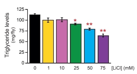 Найдено новое лекарство от старости! Для мух - 5 Найдено новое лекарство от старости! Для мух - 5