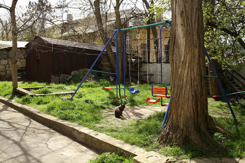 Детская робототехника в Крыму превозмогает - 36 Детская робототехника в Крыму превозмогает - 36