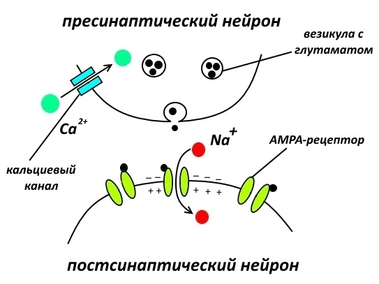 О памяти. Часть 1 - 2