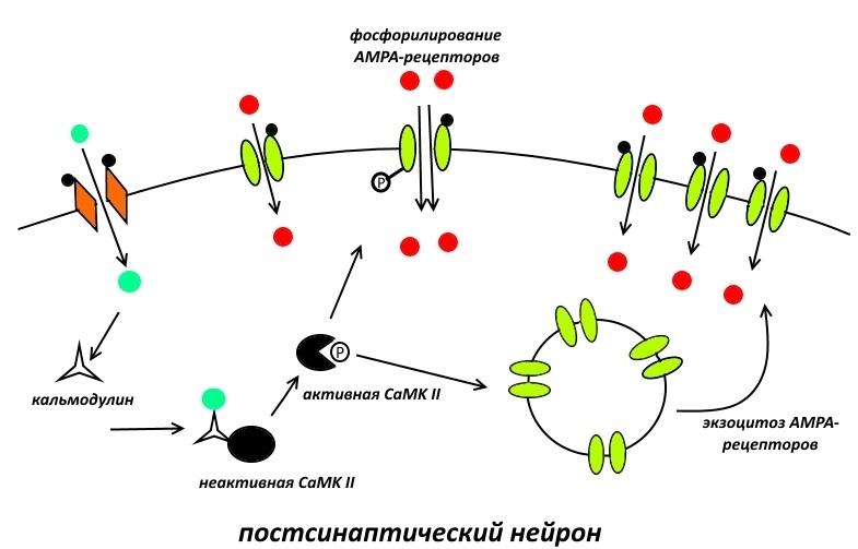 О памяти. Часть 1 - 4