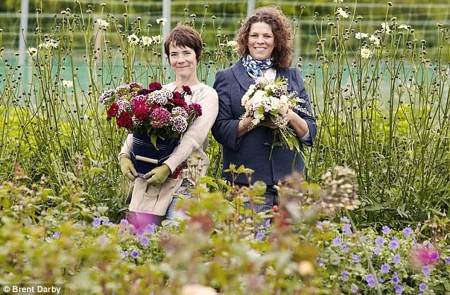 Разбор задач финала Технокубка 2016 - 9 Разбор задач финала Технокубка 2016 - 9