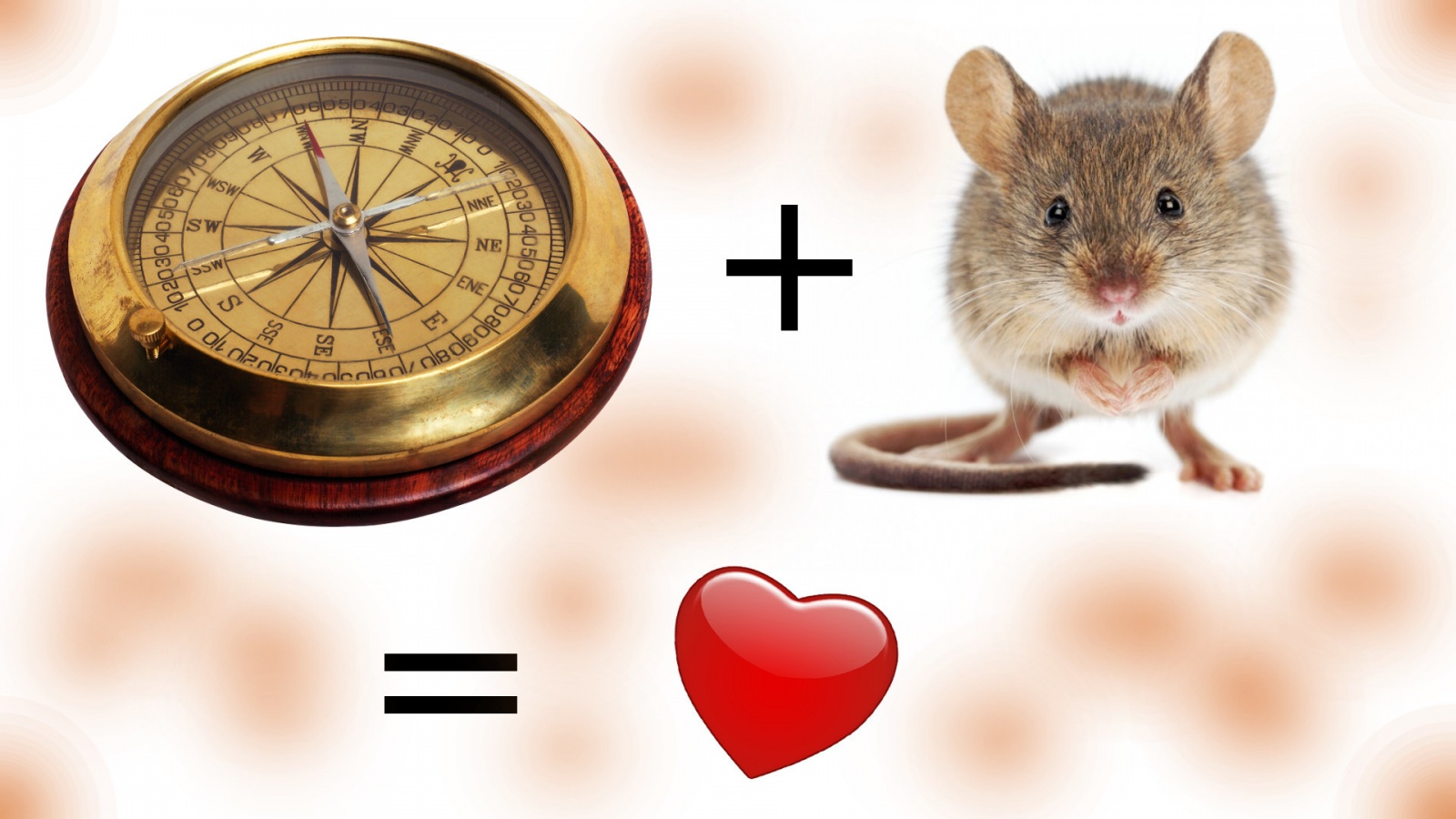 Как скрестить мышку с компасом, или снова о Logitech - 1