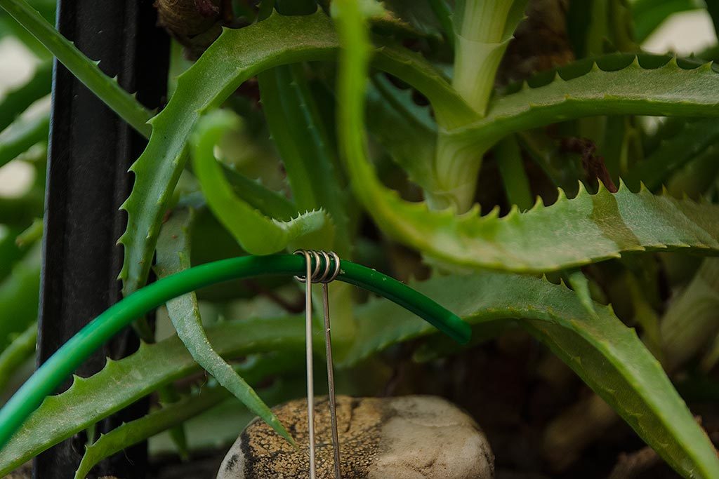 Автолейка: обзор возможностей системы автополива растений для дома или офиса - 15