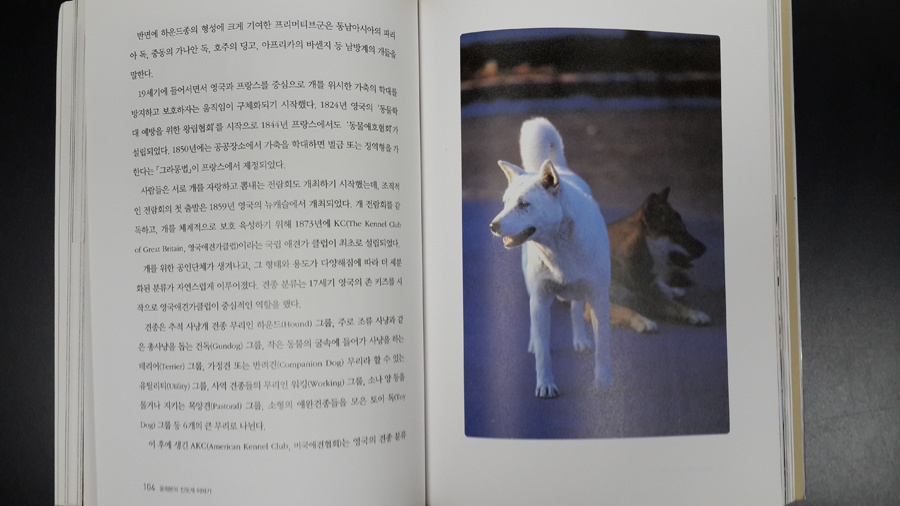 Поиск линии корешка на фотографиях книжных разворотов - 6 Поиск линии корешка на фотографиях книжных разворотов - 6