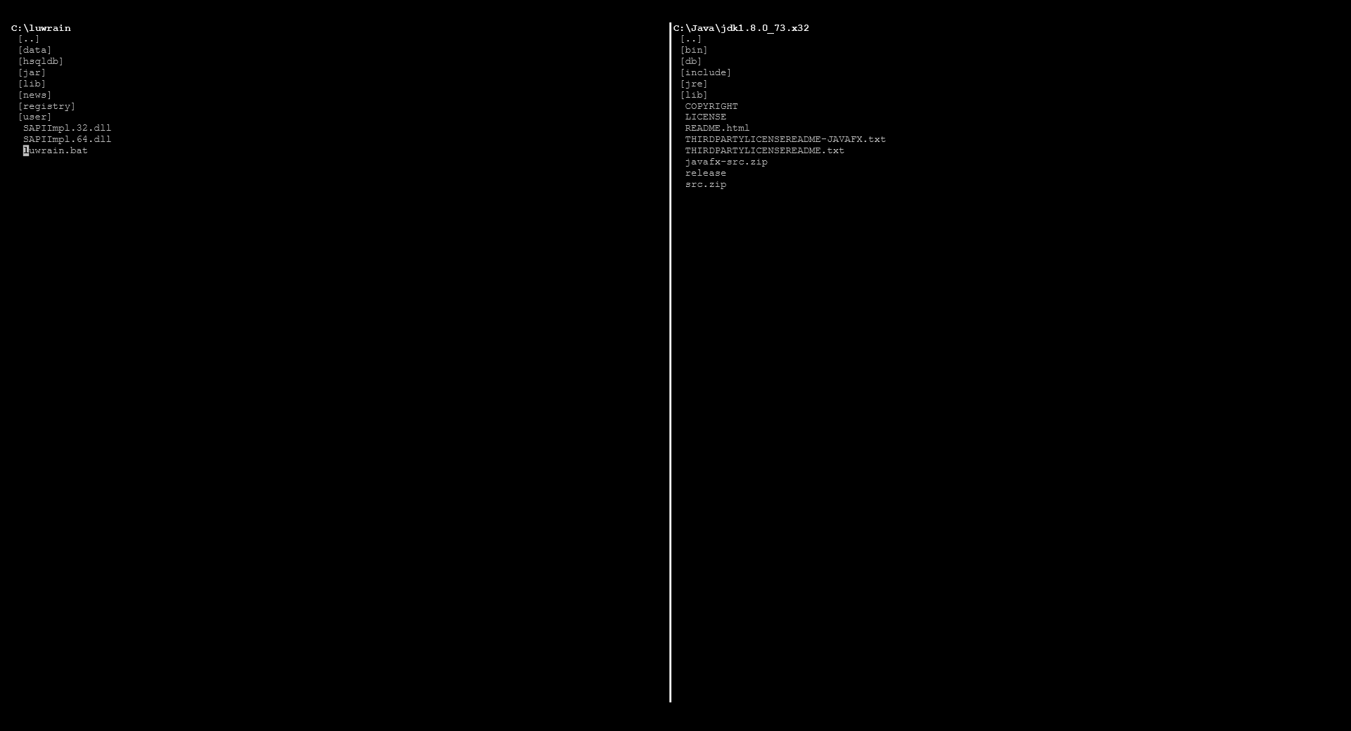 Обзор файлов и папок, две панели LUWRAIN и Java