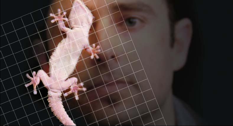 Перспективные нанодвигатели смогут накапливать и использовать для передвижения энергию света - 3 image