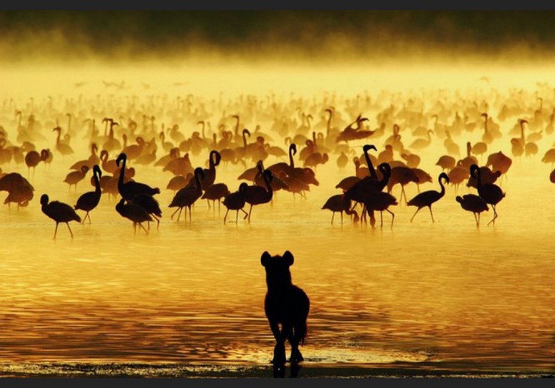 Спросите Итана №47: должны ли наука и религия конфликтовать? - 1 image