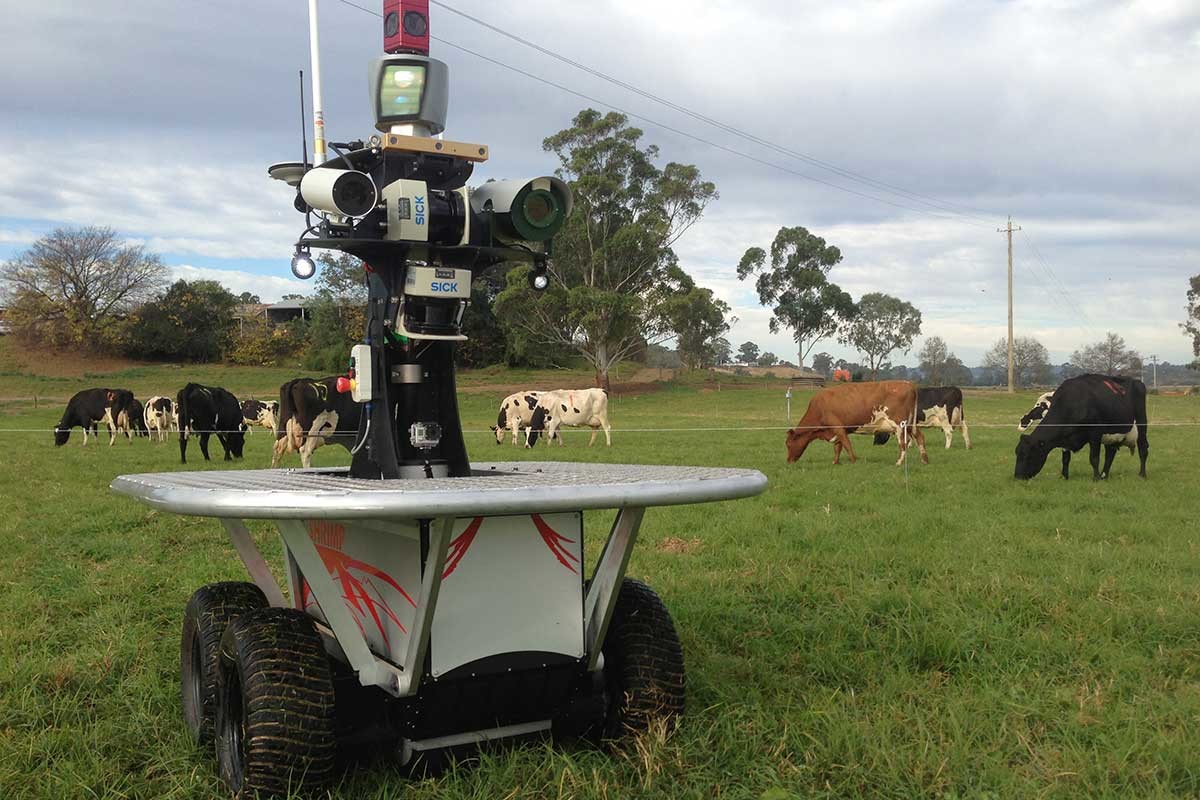 Снятся ли андроидам электроовцы? Сельскохозяйственные роботы Австралии заменяют на фермах работников-людей - 1