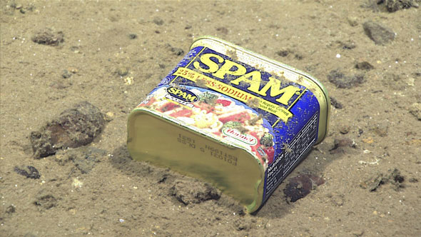 Кто проживает на дне океана? SPAM и банки из-под пива - 1