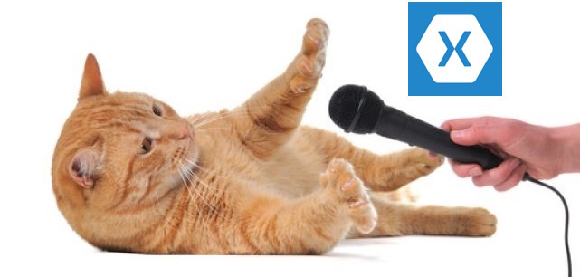 Кроссплатформенная мобильная разработка: вопросы взрослым - 1 Кроссплатформенная мобильная разработка: вопросы взрослым - 1