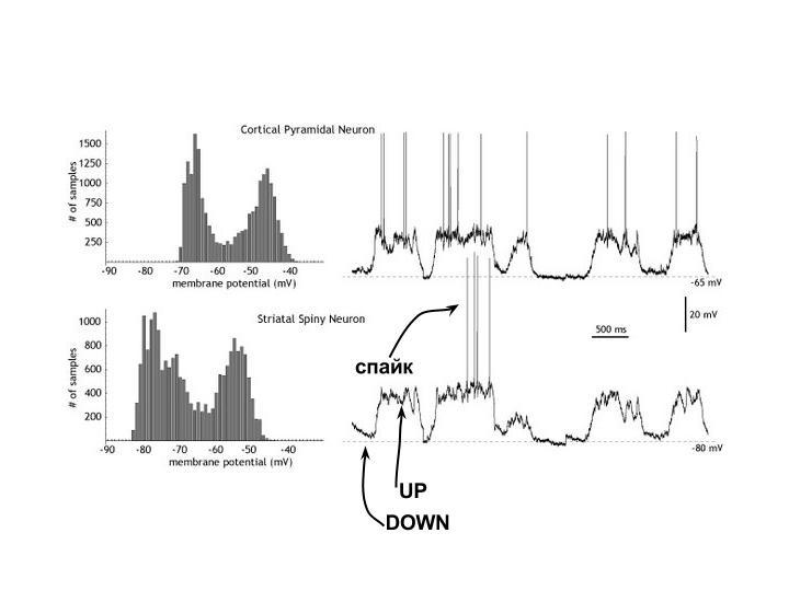 О проблеме one-shot обучения для нейросетей - 4 О проблеме one-shot обучения для нейросетей - 4