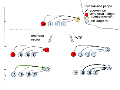 О проблеме one-shot обучения для нейросетей - 5 О проблеме one-shot обучения для нейросетей - 5