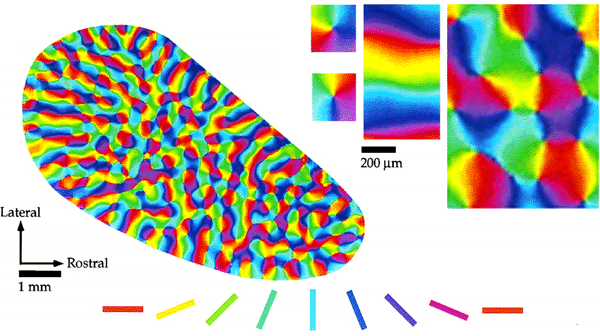 О проблеме one-shot обучения для нейросетей - 8 О проблеме one-shot обучения для нейросетей - 8