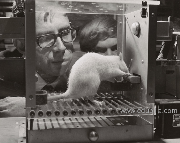 Играть на уровне бога: как ИИ научился побеждать человека - 36 Играть на уровне бога: как ИИ научился побеждать человека - 36