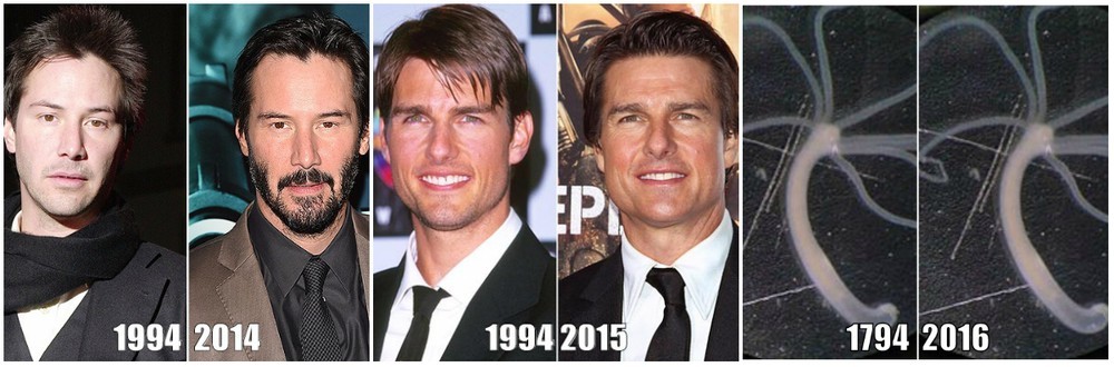 Альтернативы смерти: как победить старение - 1 Альтернативы смерти: как победить старение - 1