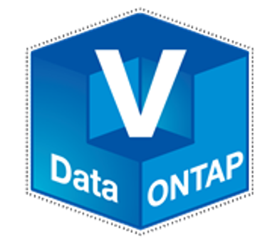 NetApp virtual storage appliance: Data ONTAP-v - 1