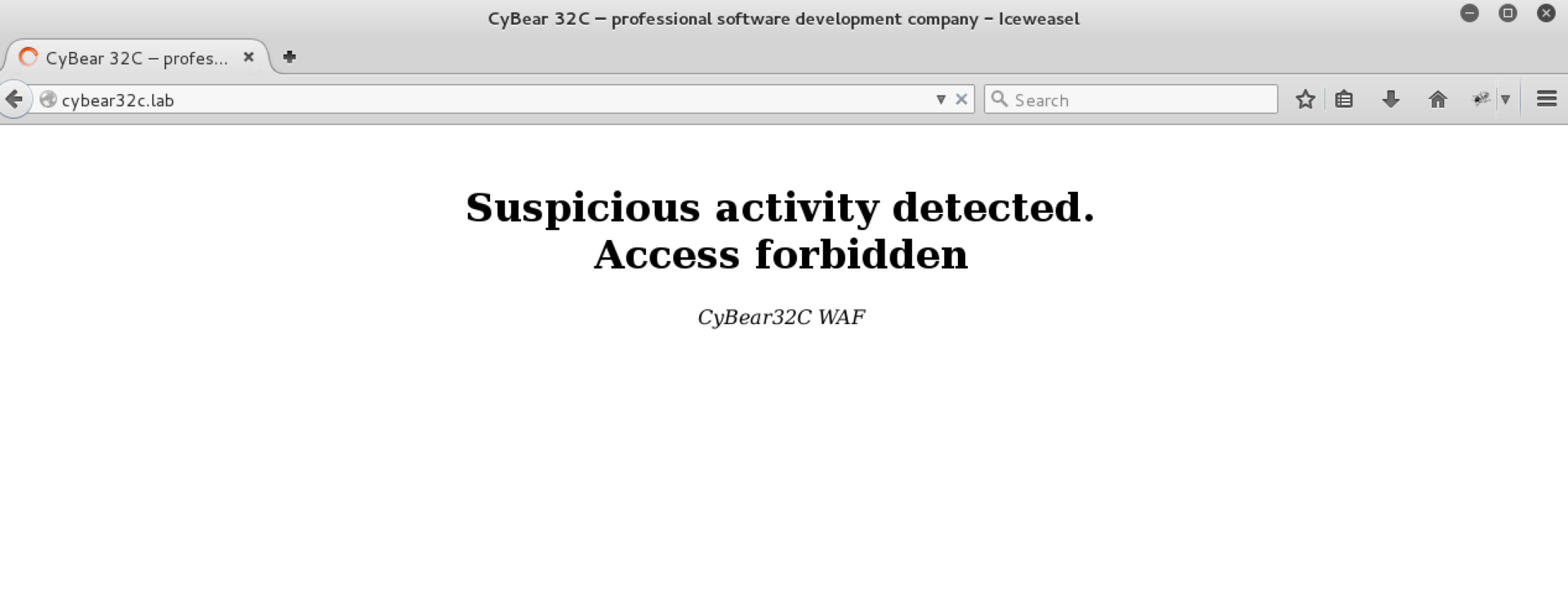 Пентест-лаборатория Pentestit — полное прохождение - 10 Пентест-лаборатория Pentestit — полное прохождение - 10