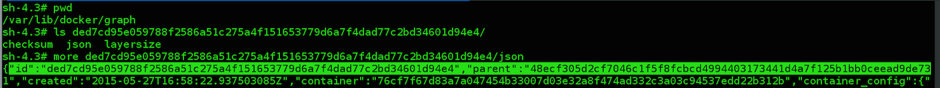 parent JSON