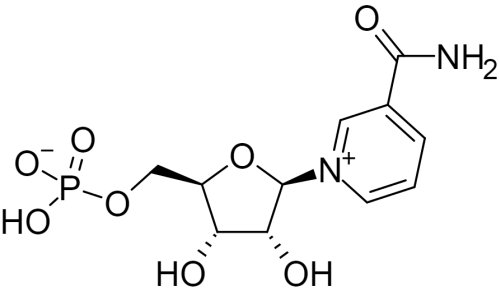 Ученые Японии и США объявили о старте клинических испытаний нового лекарственного препарата против старения - 2 image
