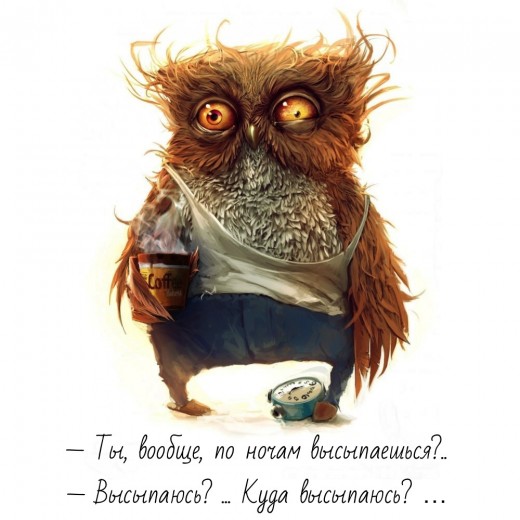 Сон – пустая трата времени или физиологическая необходимость - 1 image