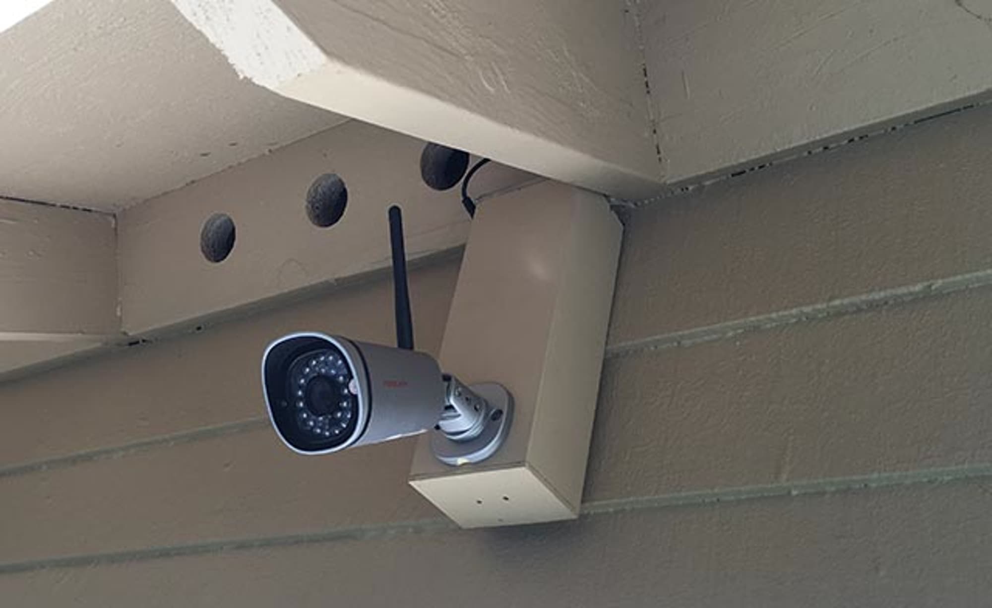 Как отучить соседского кота гадить на газон: используем машинное зрение и глубокое обучение - 2 image