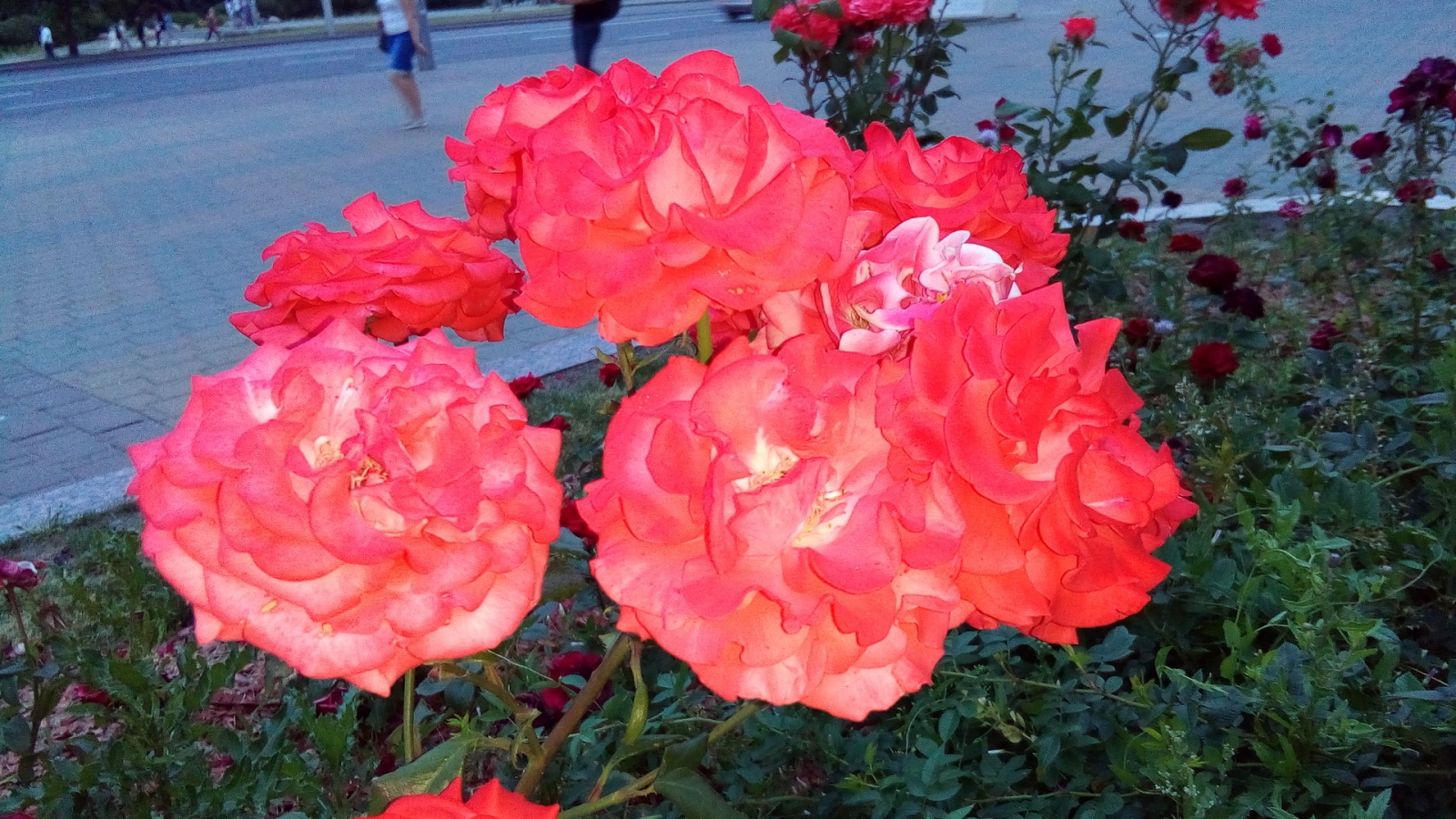 Обзор Acer Liquid Z630S: технологичный долгожитель - 24 Обзор Acer Liquid Z630S: технологичный долгожитель - 24