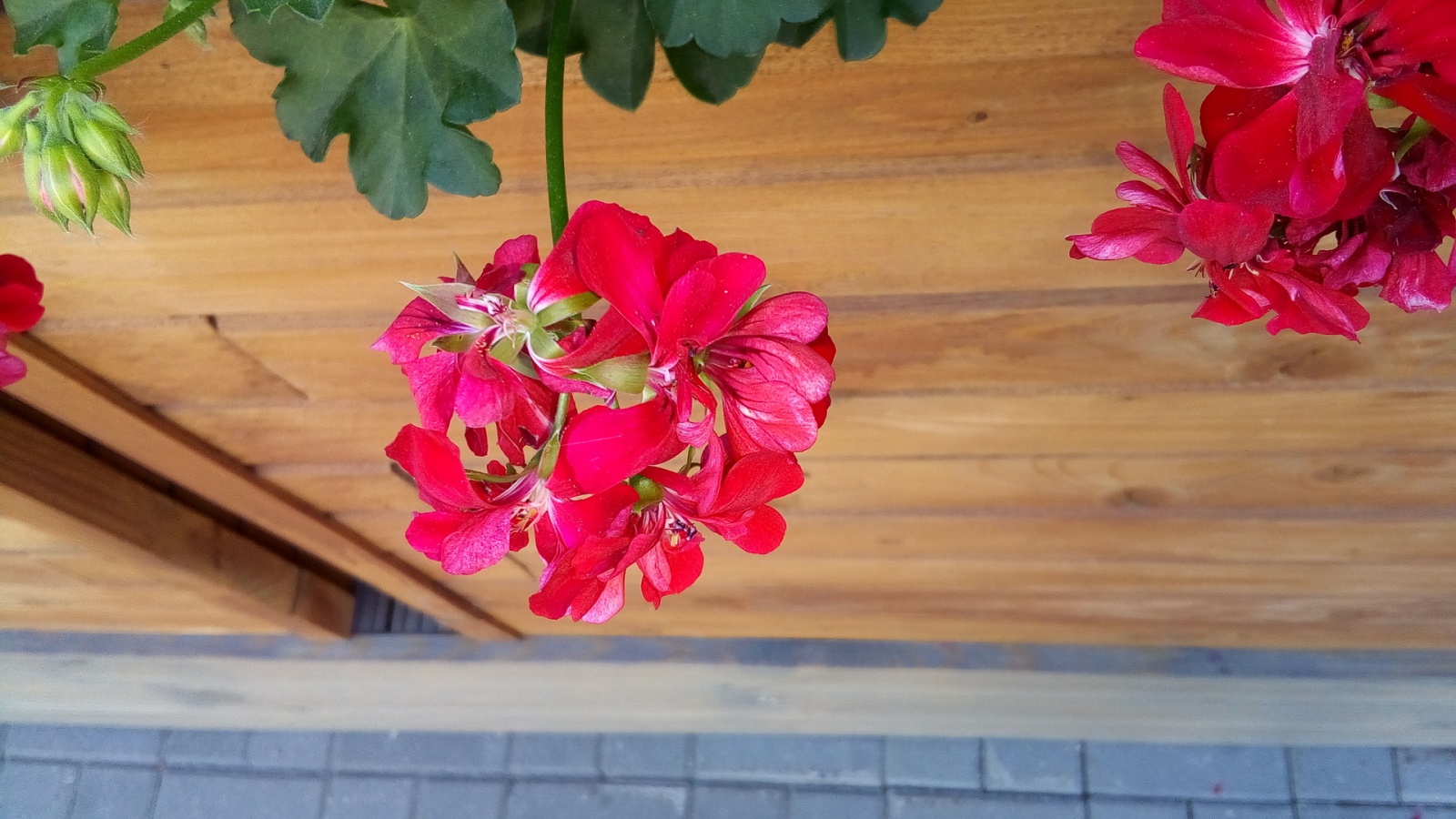 Обзор Acer Liquid Z630S: технологичный долгожитель - 26 Обзор Acer Liquid Z630S: технологичный долгожитель - 26