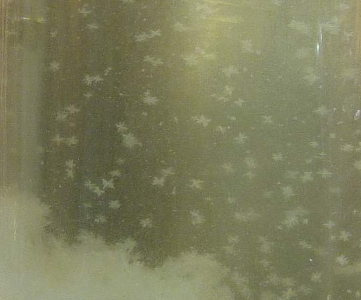 Загадка штормгласса — домашней метеостанции на элементной базе начала XIX века - 4