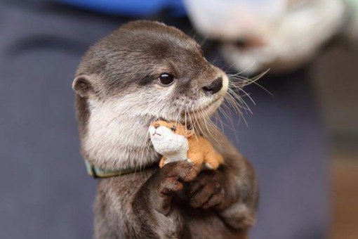 Mongoose: инструмент для тестирования производительности СХД - 1 image